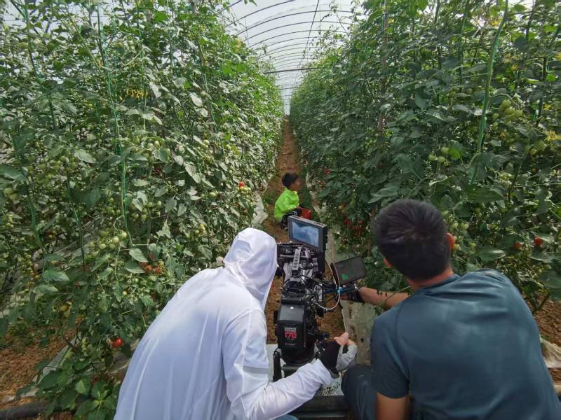 宜昌产品宣传视频拍摄公司进阶指南，助力品牌抢占传播高地